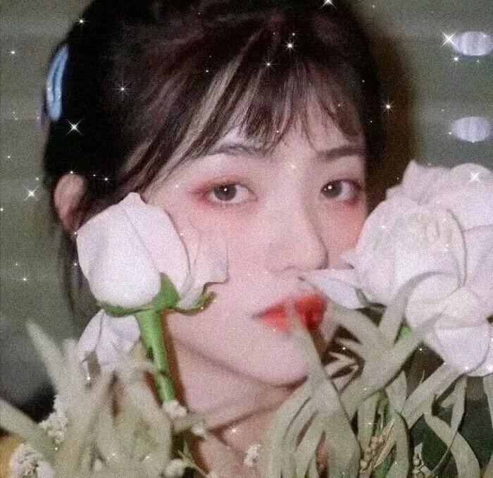 抢来的新娘